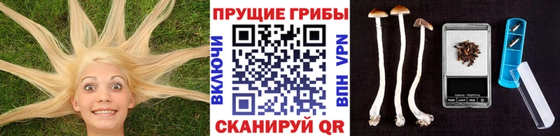 Псилоцибиновые грибы Magic Shrooms  где купить наркоту  Суровикино 